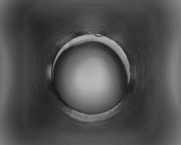 X0000084550047200703231746