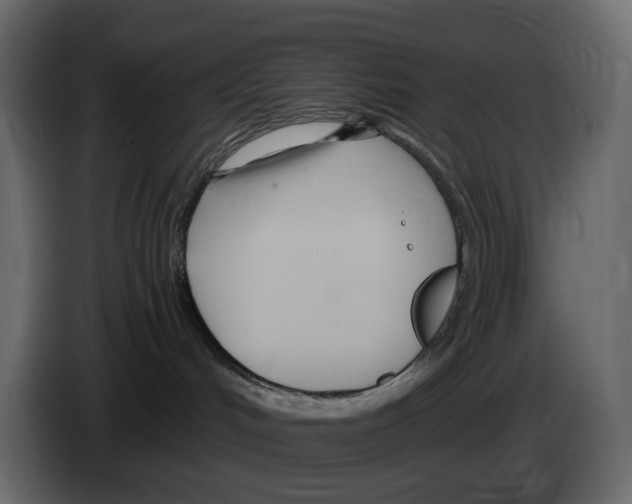 X0000084550048200703231746