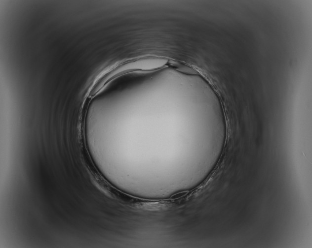 X0000084550050200703231745