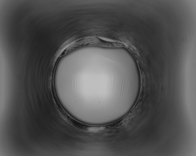 X0000084550051200703231745