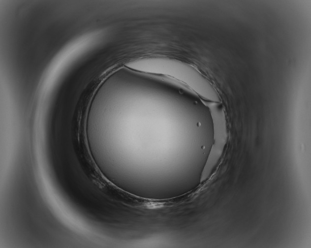 X0000084550052200703231745