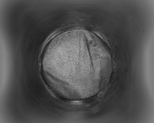 X0000084550053200703231745