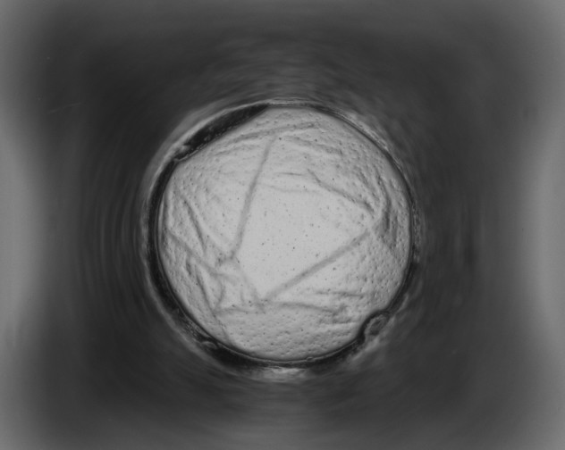 X0000084550055200703231745