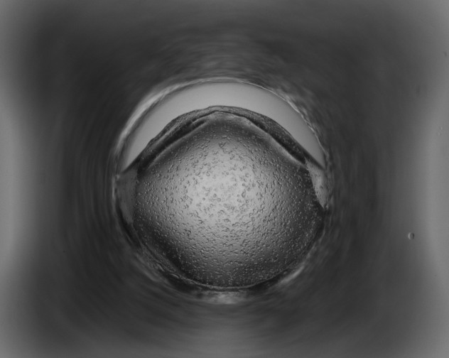 X0000084550056200703231745