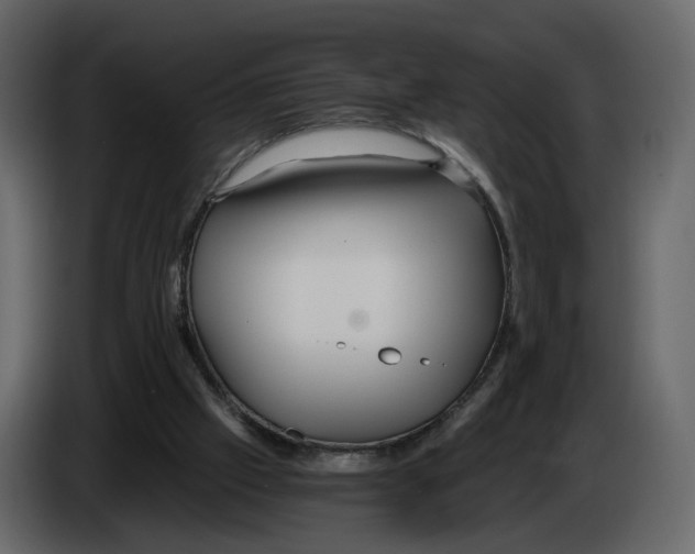 X0000084550057200703231745