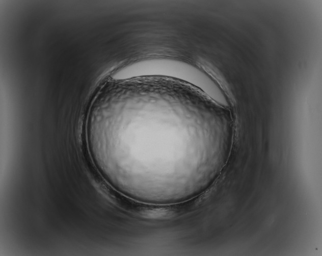 X0000084550058200703231745