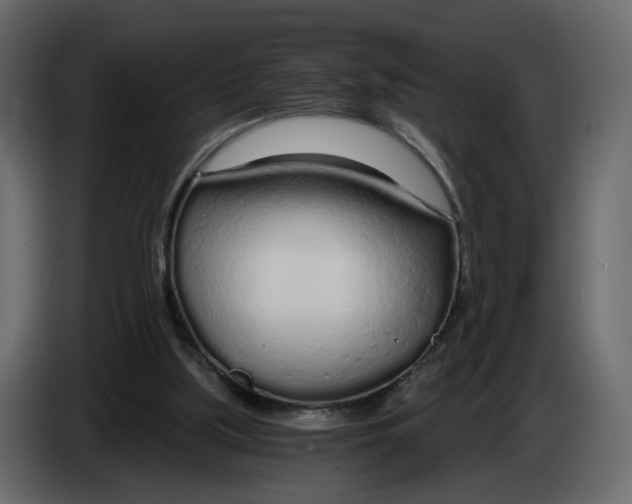 X0000084550059200703231745