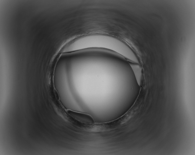 X0000084550060200703231745