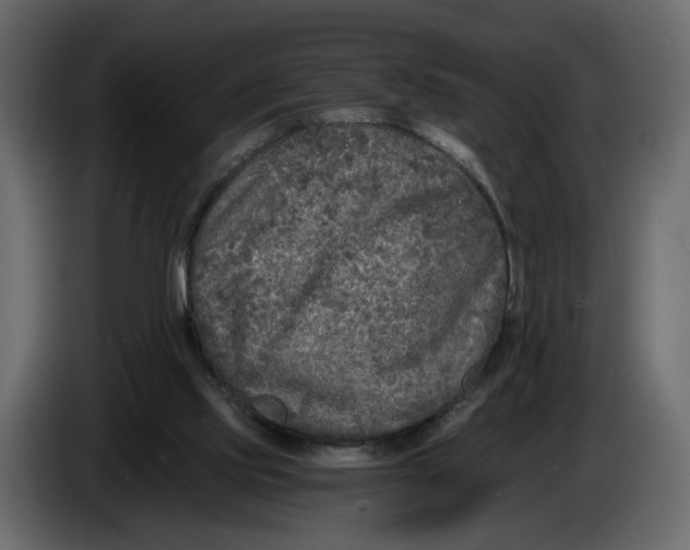 X0000084550061200703231745