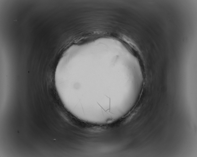 X0000084550065200703231745