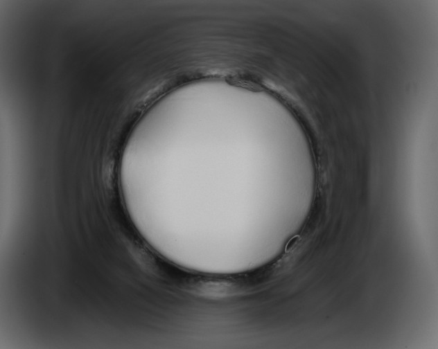 X0000084550066200703231745