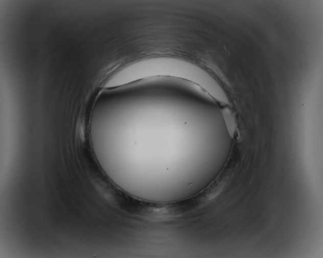 X0000084550068200703231745