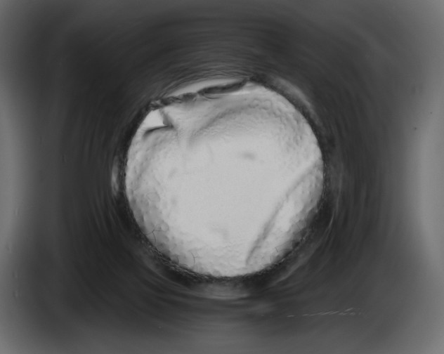 X0000084550069200703231745