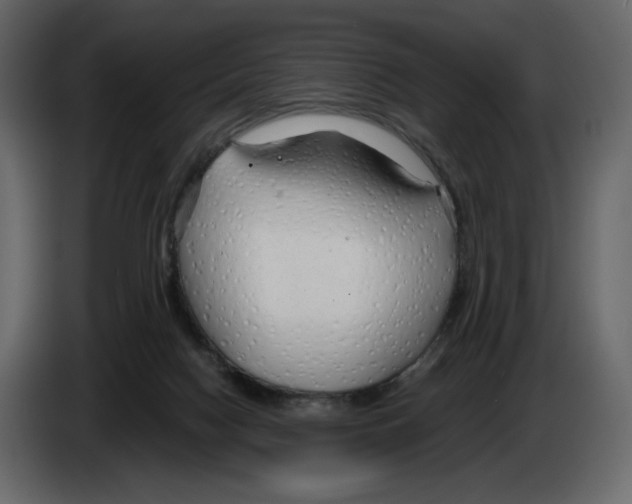 X0000084550074200703231745