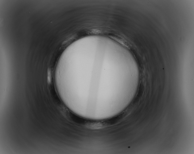 X0000084550075200703231745