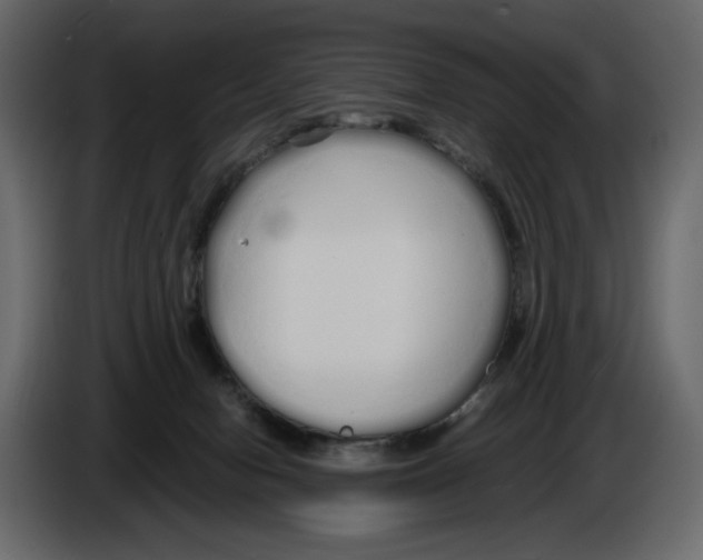 X0000084550078200703231745