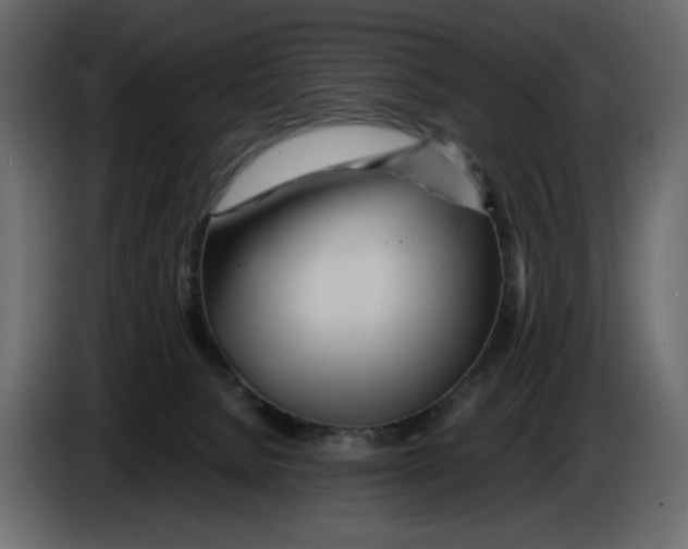 X0000084550080200703231745