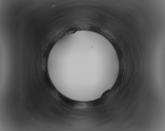 X0000084550083200703231746