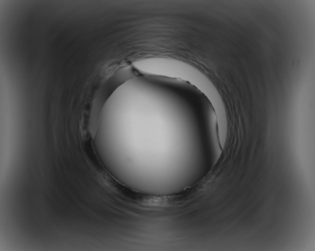 X0000084550084200703231746