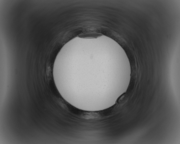 X0000084550087200703231746