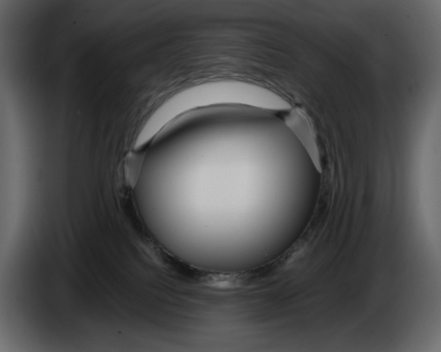 X0000084550088200703231746