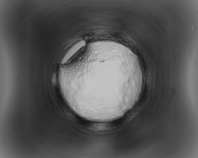 X0000084550089200703231746