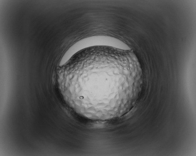 X0000084550090200703231746