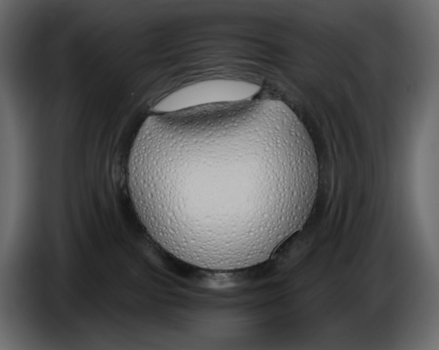 X0000084550091200703231746