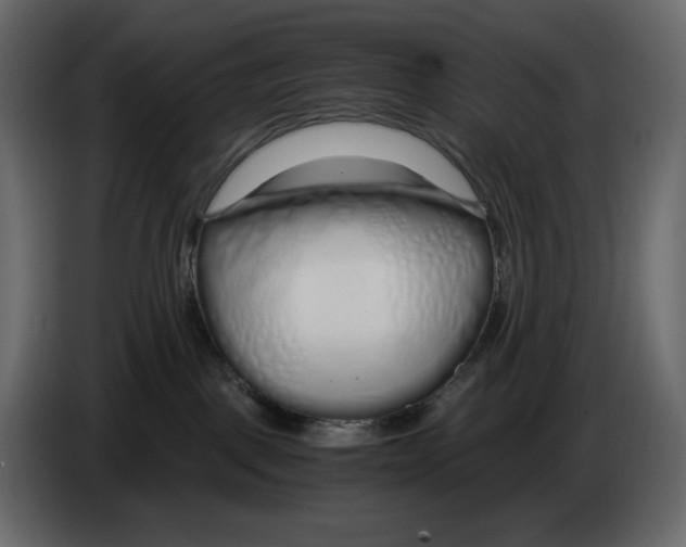 X0000084550093200703231746