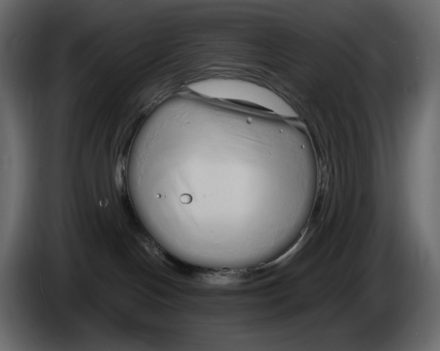 X0000084550094200703231746