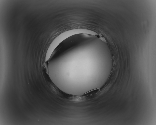 X0000084550096200703231746