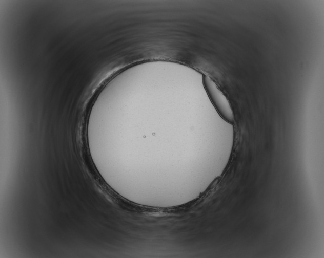 X0000084550098200703231745