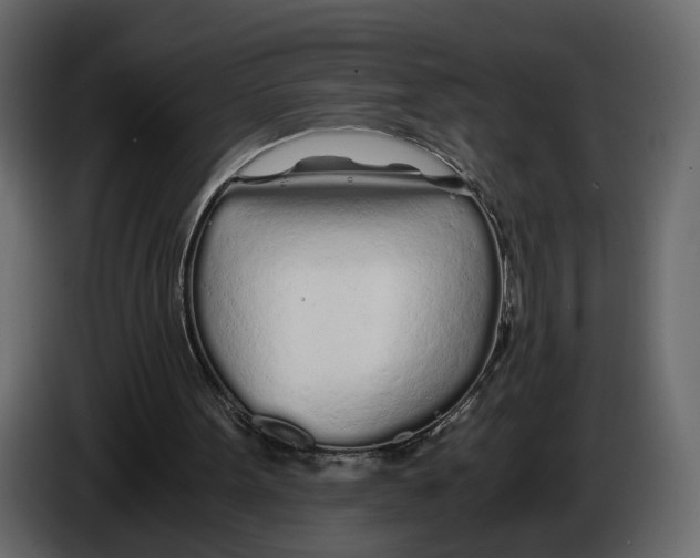 X0000084550099200703231745