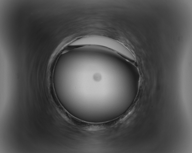 X0000084550101200703231745