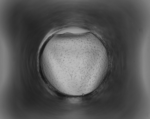 X0000084550102200703231745