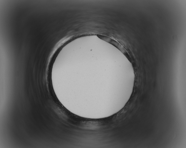 X0000084550104200703231745