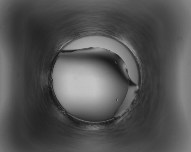 X0000084550105200703231745