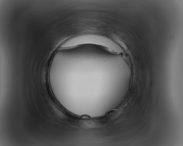 X0000084550106200703231745