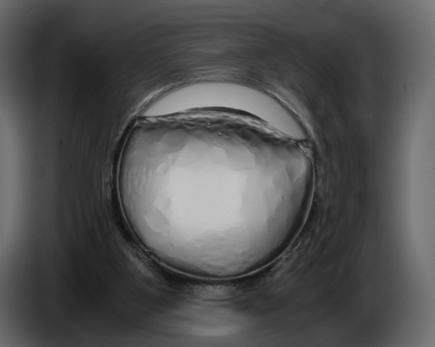 X0000084550107200703231745