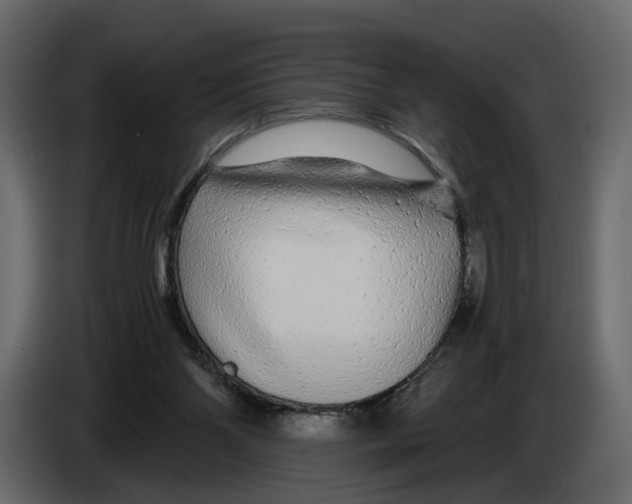 X0000084550110200703231745