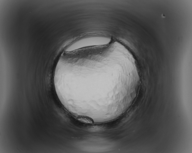 X0000084550111200703231745