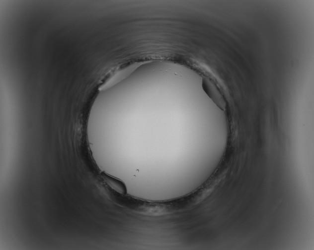 X0000084550113200703231745