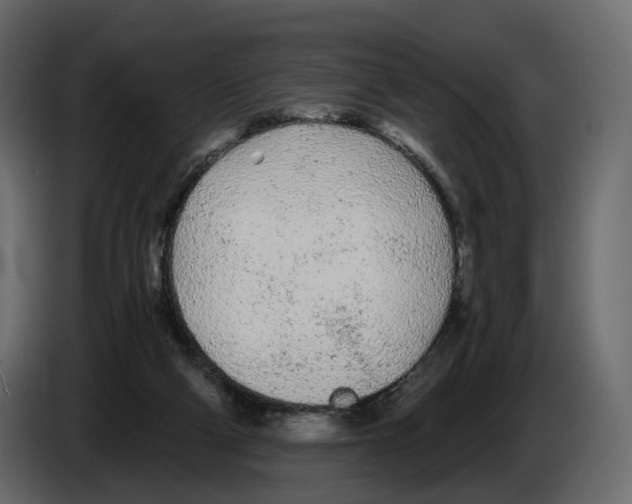 X0000084550114200703231745