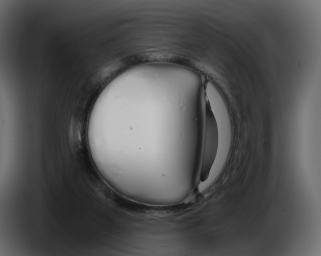 X0000084550115200703231745