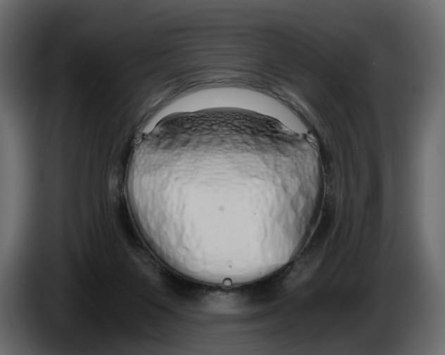 X0000084550119200703231745