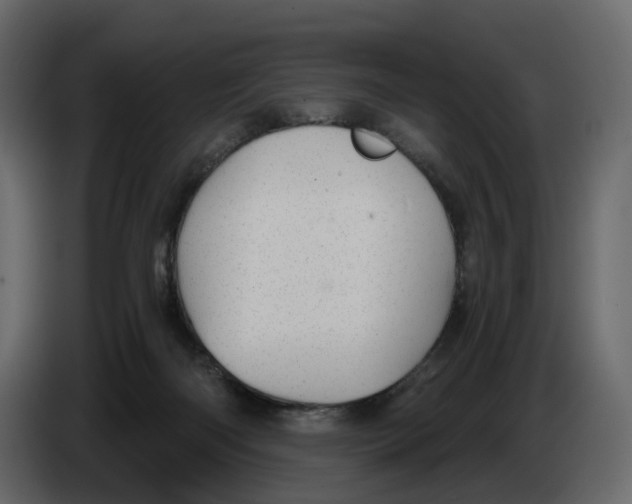 X0000084550122200703231745