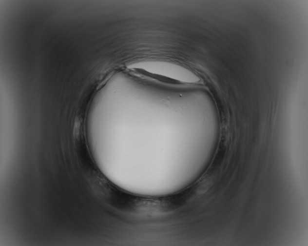 X0000084550123200703231745