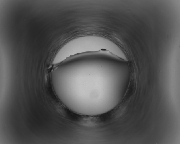 X0000084550125200703231745