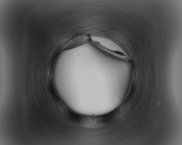 X0000084550127200703231745