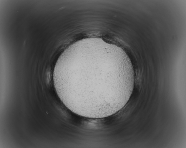 X0000084550130200703231745